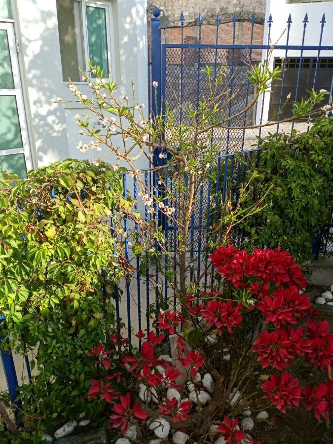Milenio III B&B Queretaro Exterior photo